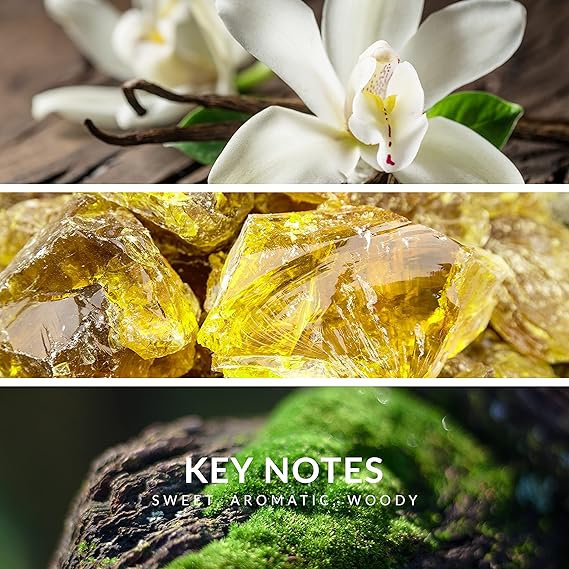 INSURRECTION by Reyane Tradition Men's