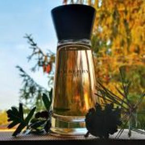 Burberry Touch Eau De Perfume for Women